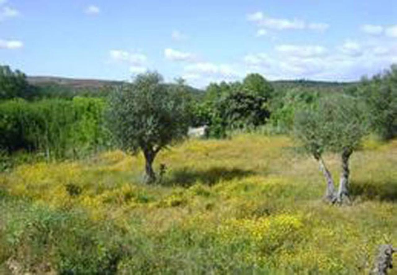 Villa Casa Rustica Arganil Exterior foto